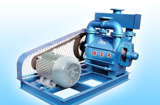 供應真空泵 泵 機械及行業設備價格 廠家 圖片