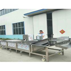 蔬菜水果清洗機(jī)功能 蕪湖蔬菜水果清洗機(jī) 諸城邁瑞特